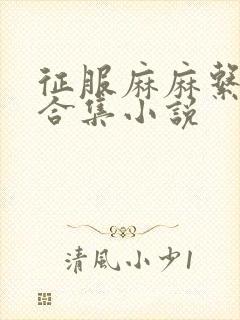 征服麻麻系列大合集小说封面