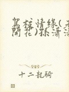 驾校情缘(老树开花)孙潇潇笔趣阁