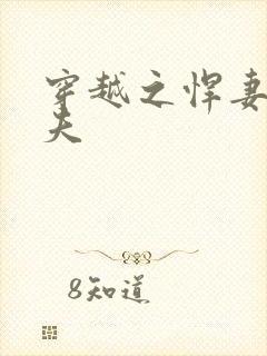 穿越之悍妻共三夫