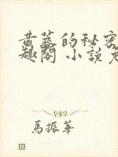 黄蓉的秘密 笔趣阁 小说免费阅读下载