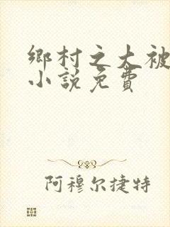 乡村之大被同眠小说免费