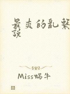 最爽的乱系列小说