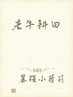老牛耕田