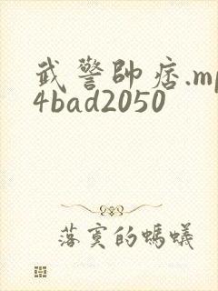 武警帅痞.mp4bad2050封面