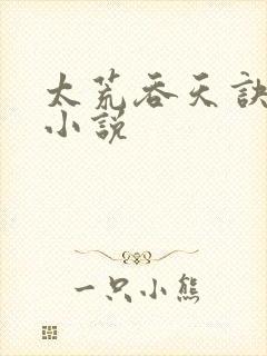 太荒吞天诀免费小说