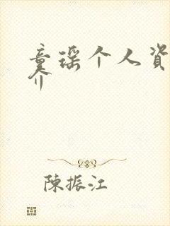 童瑶个人资料简介