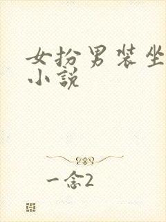 女扮男装坐江山小说封面