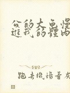 公的大龟慢慢挺进我的体内视频