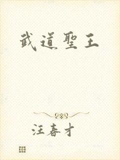 武道圣王