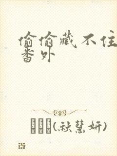 偷偷藏不住新婚番外封面