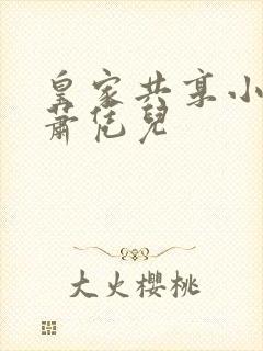 皇家共享小公主萧凭儿封面