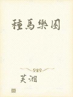 种马乐园封面