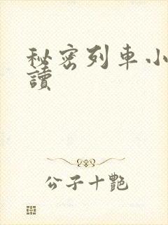 秘密列车小说阅读