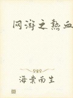 网游之热血传奇封面