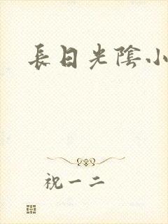 长日光阴小说封面