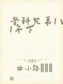 骨科兄弟1 V1年下