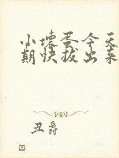 小坏蛋今天危险期快拔出来