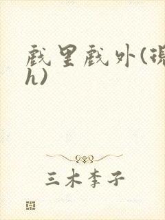 戏里戏外(现场h)