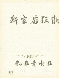 新家庭狂欢小说封面