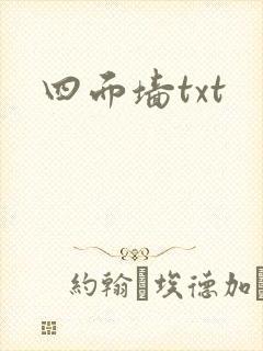 四面墙txt