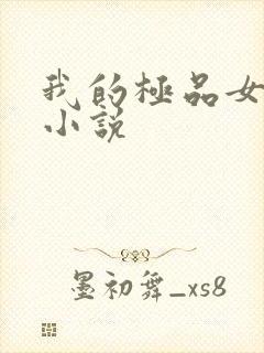 我的极品女老师小说