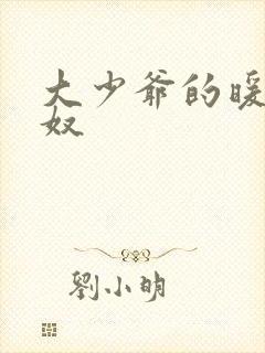 大少爷的暖床小奴封面