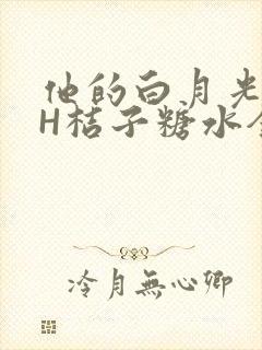 他的白月光HVH桔子糖水全文