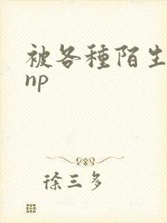 被各种陌生人 np封面