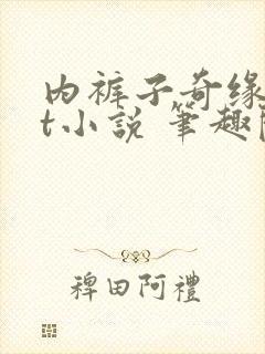 内裤子奇缘txt小说 笔趣阁封面