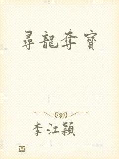 寻龙夺宝封面