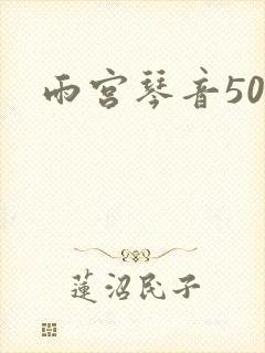 雨宫琴音500封面