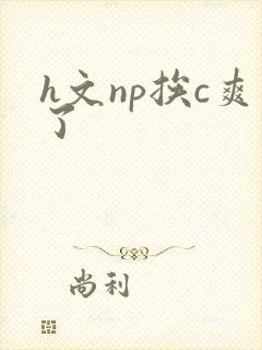 h文np挨c爽了