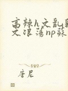 高辣h文乱乳h文浪荡np苏夏