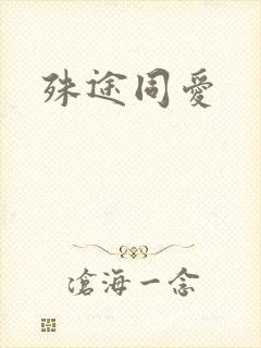 殊途同爱封面