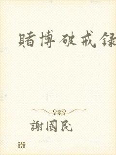 赌博破戒录封面