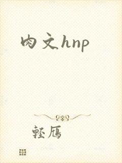 肉文hnp