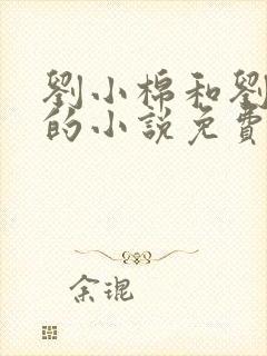 刘小棉和刘易文的小说免费阅读