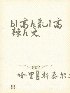 bl高h乱l高辣h文