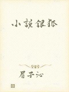 小说银狐