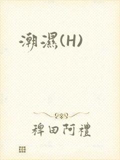 潮湿(H)封面