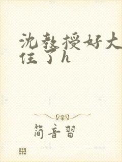 沈教授好大含不住了h