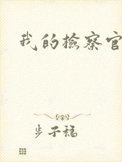 我的检察官先生