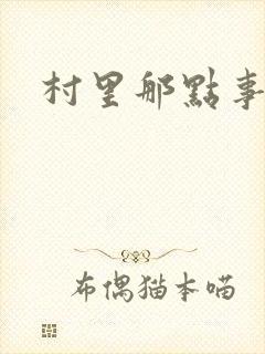 村里那点事儿