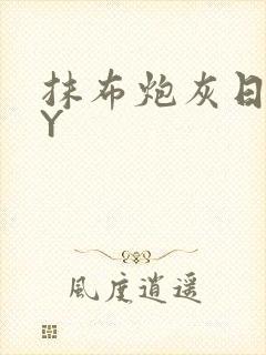 抹布炮灰日记BY封面