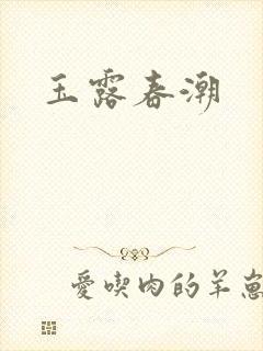 玉露春潮封面