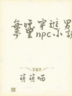 每晚穿进男神的梦里npc小说