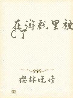 在游戏里被怪物C了封面