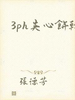 3ph夹心饼干封面