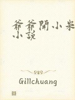 爷爷开小米的包小说