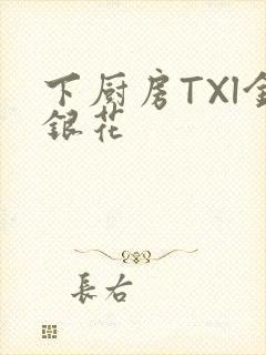 下厨房TXl金银花